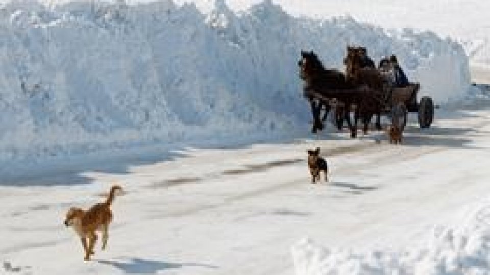 Situaţie de urgenţă în judeţul Vrancea