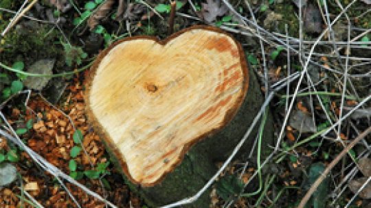 Aţi auzit de Moş Valentin?