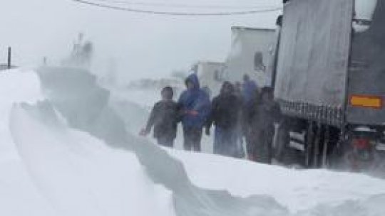 Transportatorii au mari pierderi financiare