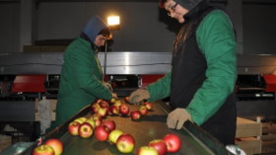 Pomii, afacere de viitor