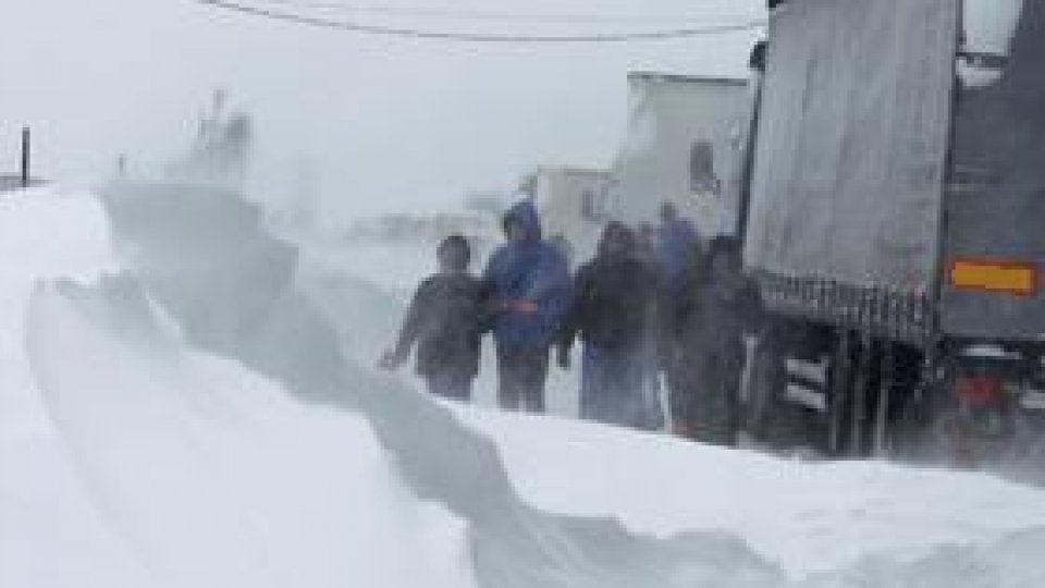 The transporters have many financial losses