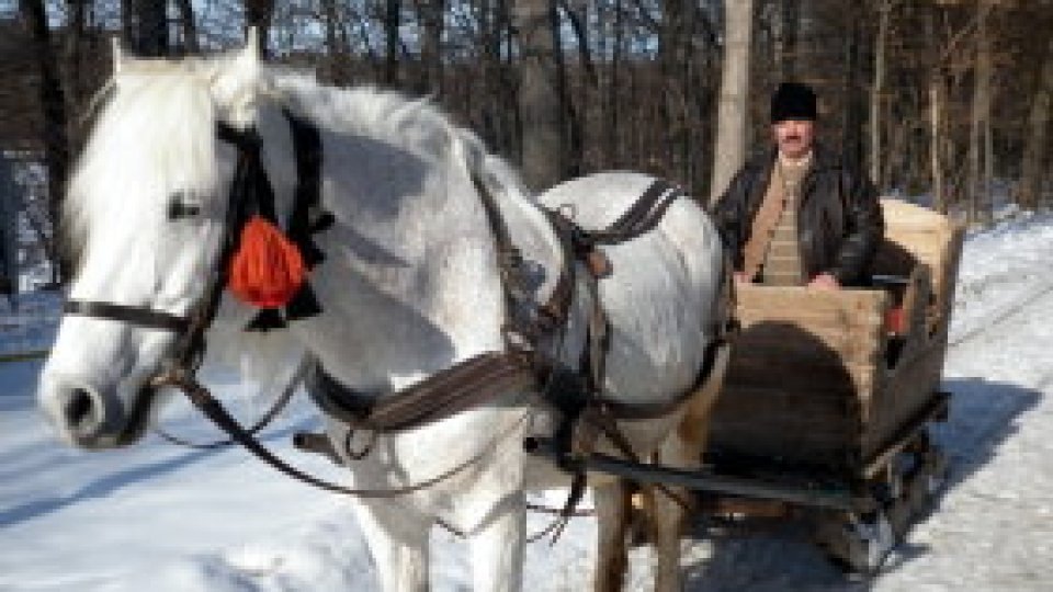 Cu sania, prin muzeu