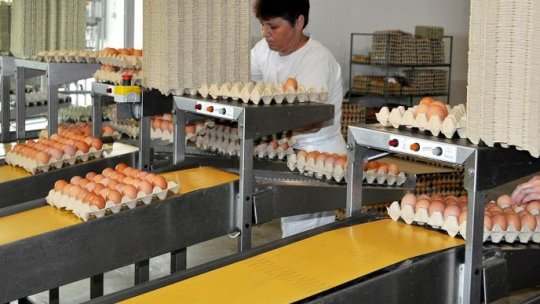 "Criză de ouă" în magazine