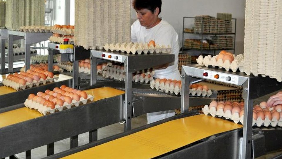 "Criză de ouă" în magazine