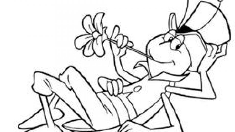 De ce doar greierele cântă?