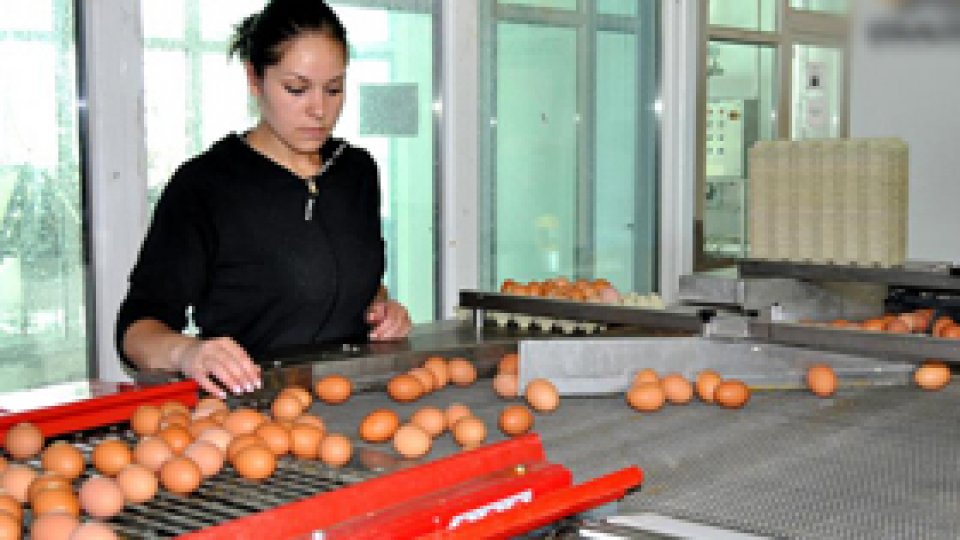 Criza de ouă din magazine "duce la creşterea preţurilor"