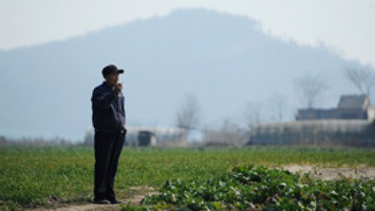 România, codaşă la inovare în Europa