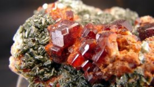 Mineralia, la Târgu Mureş