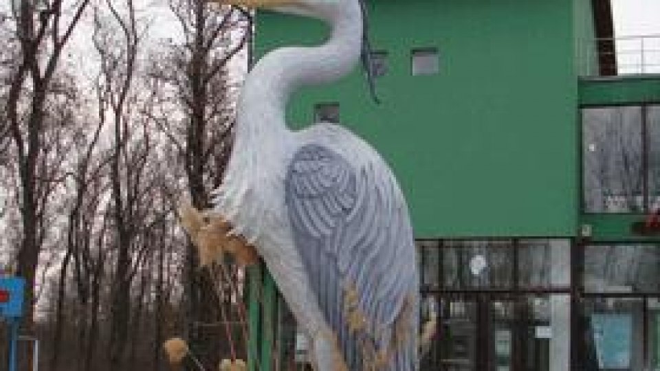 Cocostârcul uriaş, paznic în Lunca Mureşului