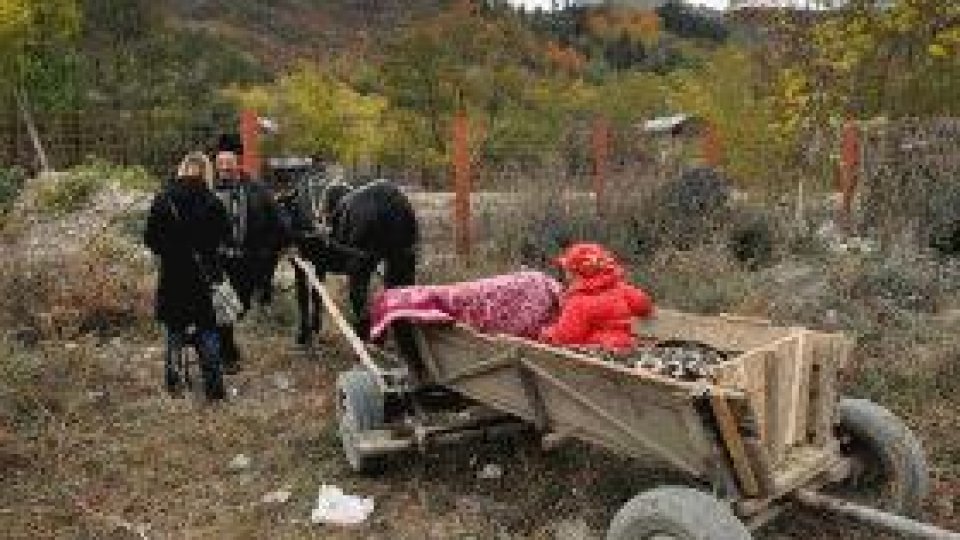 Din mahala în lumea satului