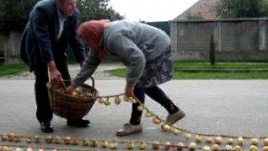 Ceapa de Pericei a fost vedetă la Bruxelles