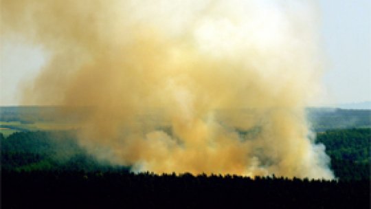Incendiu de vegetaţie în satul Blaj