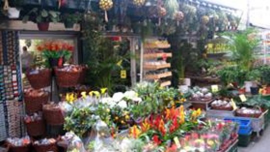 Flori cu parfum de ... evaziune!