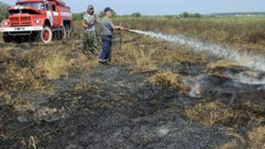 Mii de hectare au fost distruse de incendiile de vegetaţie