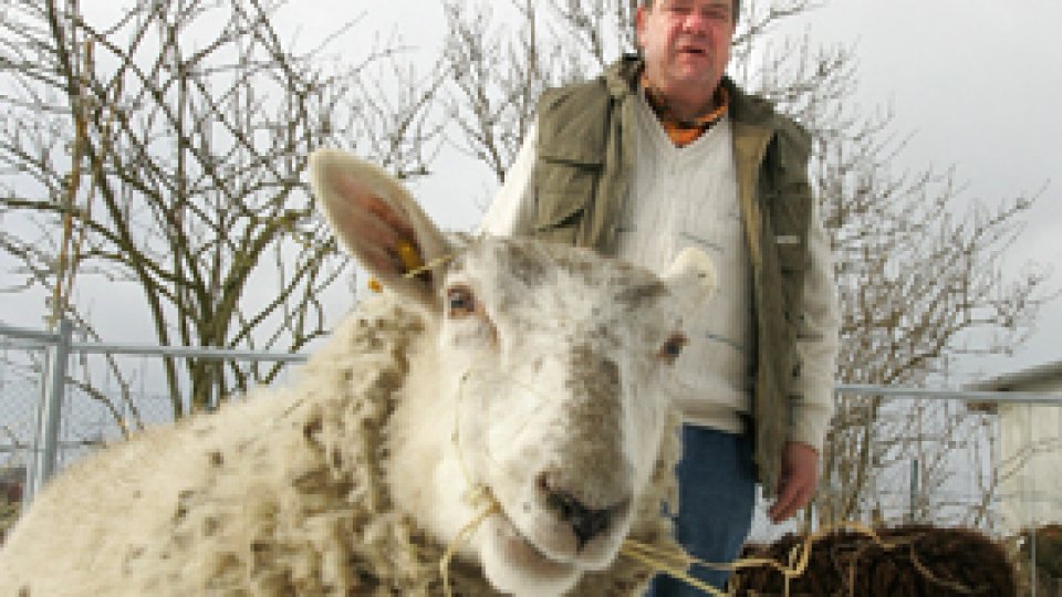 Europa, "profund dezamăgită" de embargoul rusesc