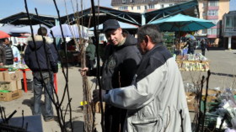 E sezonul plantatului de pomi fructiferi