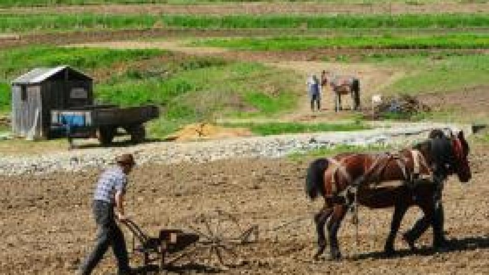 Romanian farmers want land merging
