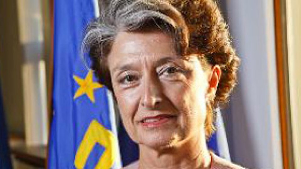 Mijloace militare comune în UE