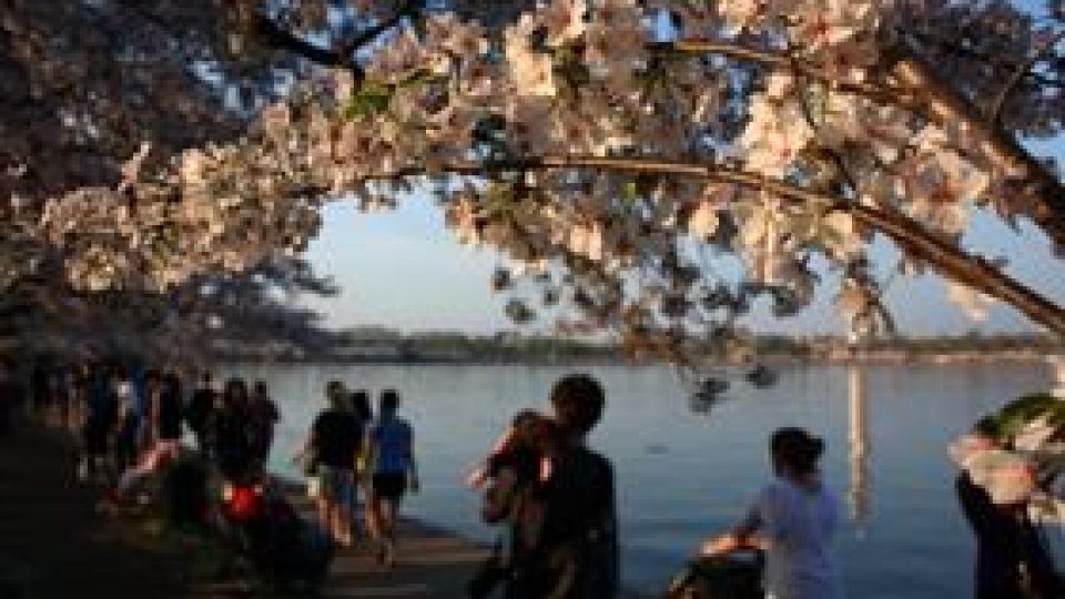 Care mai de care - 24 martie 2012