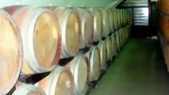 Povestea vinului din Podgoria Dealu Mare