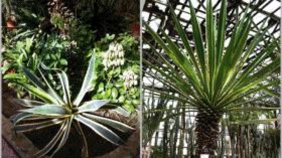 Un loc ce merită vizitat