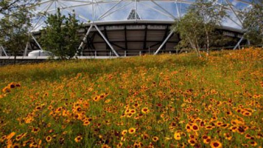 O grădină pentru Jocurile Olimpice