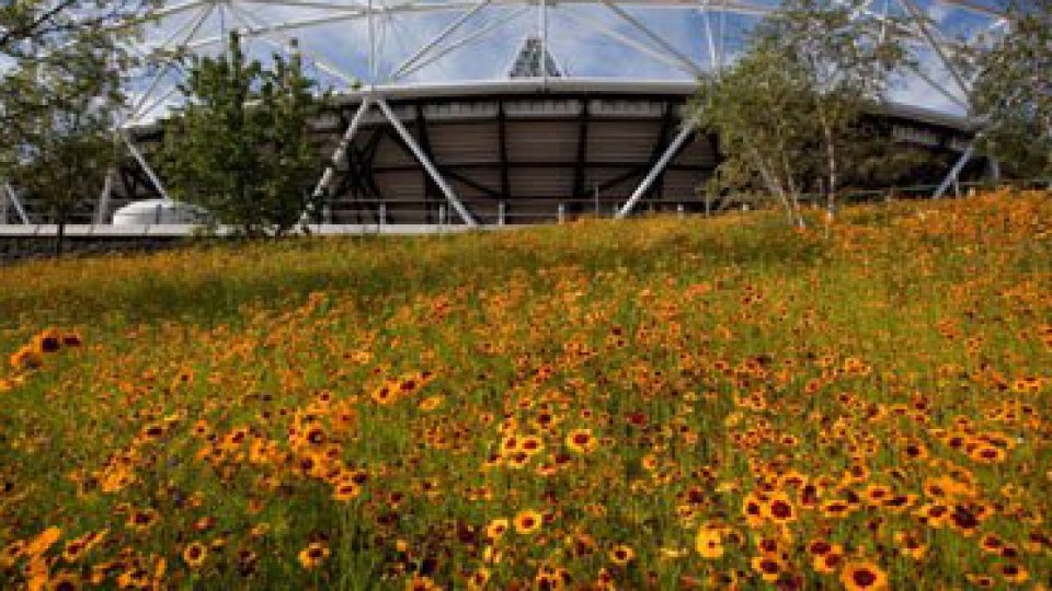 O grădină pentru Jocurile Olimpice