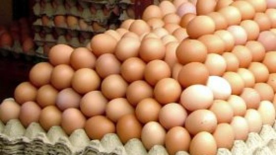 Preţul ouălor, umflat artificial ?