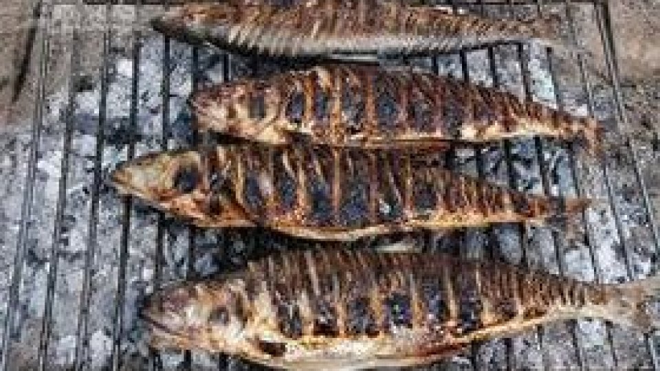 Peşte, mămăliga prăpădeşte…