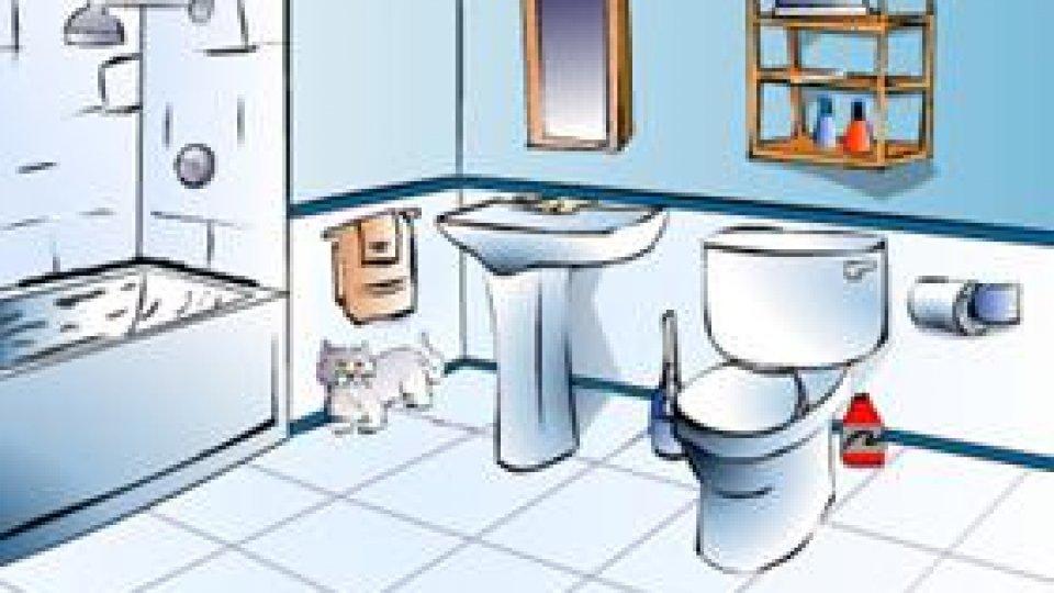 Consumabilele de baie