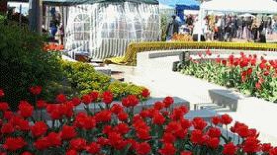 Simfonia lalelelor - Piteși, 27 - 29 aprilie 2012