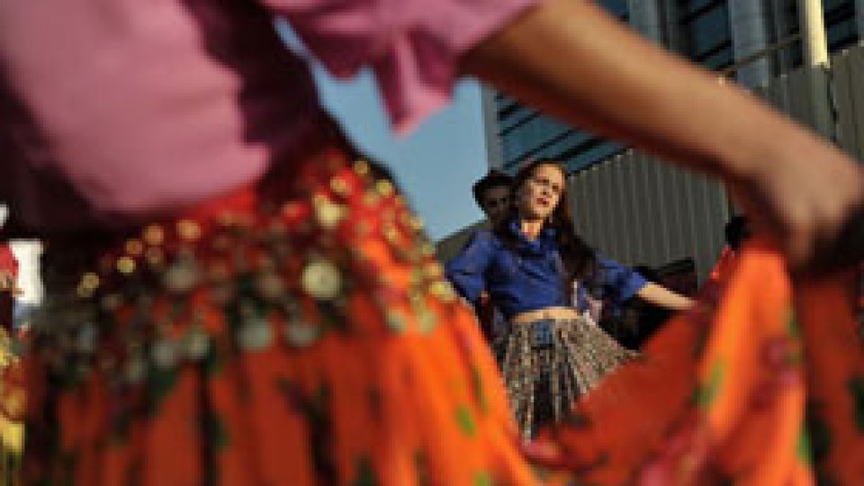 Cuvinte cu definiţii "politic-corecte" în noul DEX