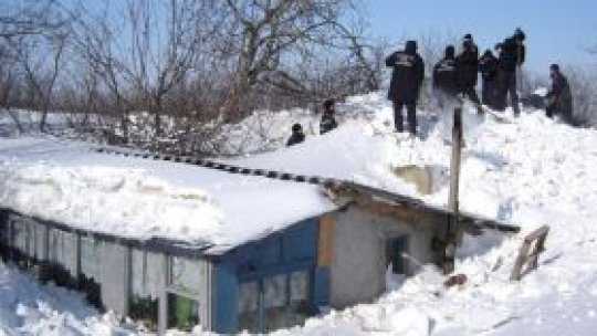 Agricultorii afectaţi de zăpadă ar putea primi despăgubiri