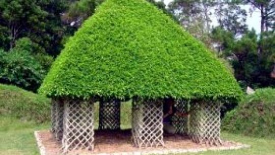 Acoperişuri pictate