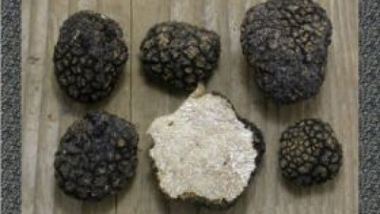 Preţuri mari la trufandale