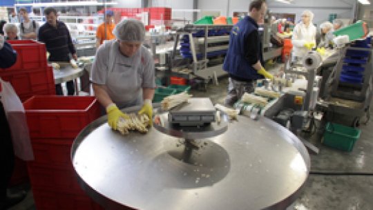 Germanii sunt "incapabili să se bucure de viaţă"