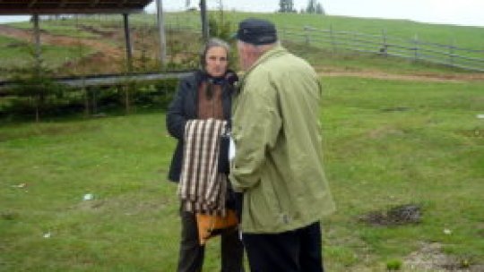 Tocmitul băcițelor