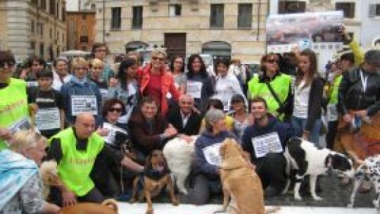 Protest la Roma contra uciderii câinilor fără stăpân