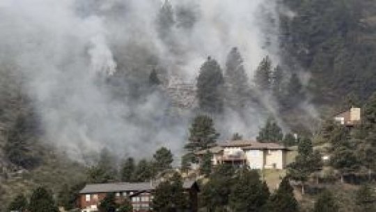 Mii de hectare de păduri din SUA, afectate de incendii