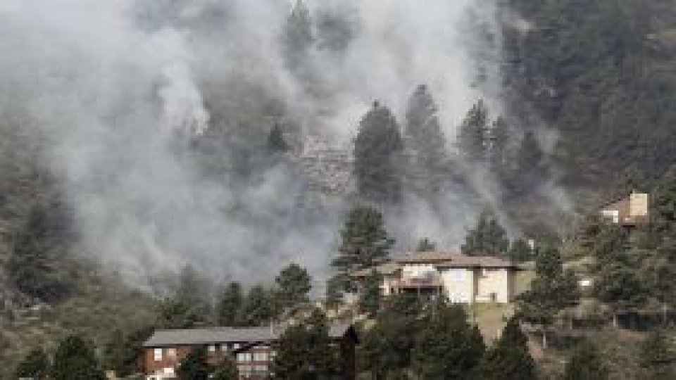 Mii de hectare de păduri din SUA, afectate de incendii