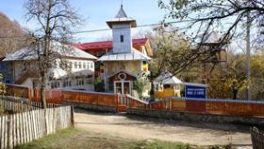 Sarmale de post cu sâmburi de nucă și semințe de dovleac