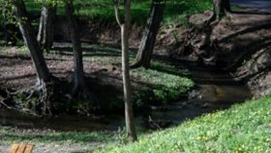 Parcul Sub Arini din Sibiu