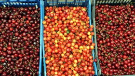 Satul cu 65 de soiuri de cireşe