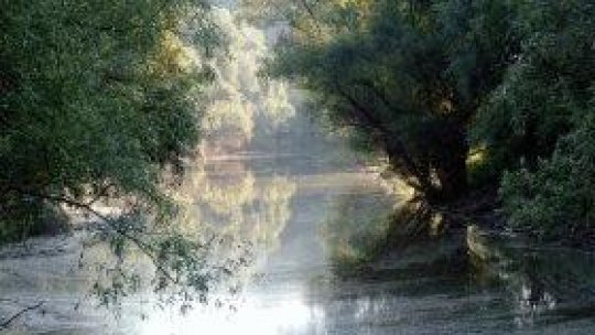 Călăraşi, perla Dunării