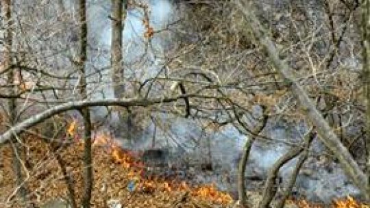 Zeci de hectare de pădure şi mirişte distruse de incendii