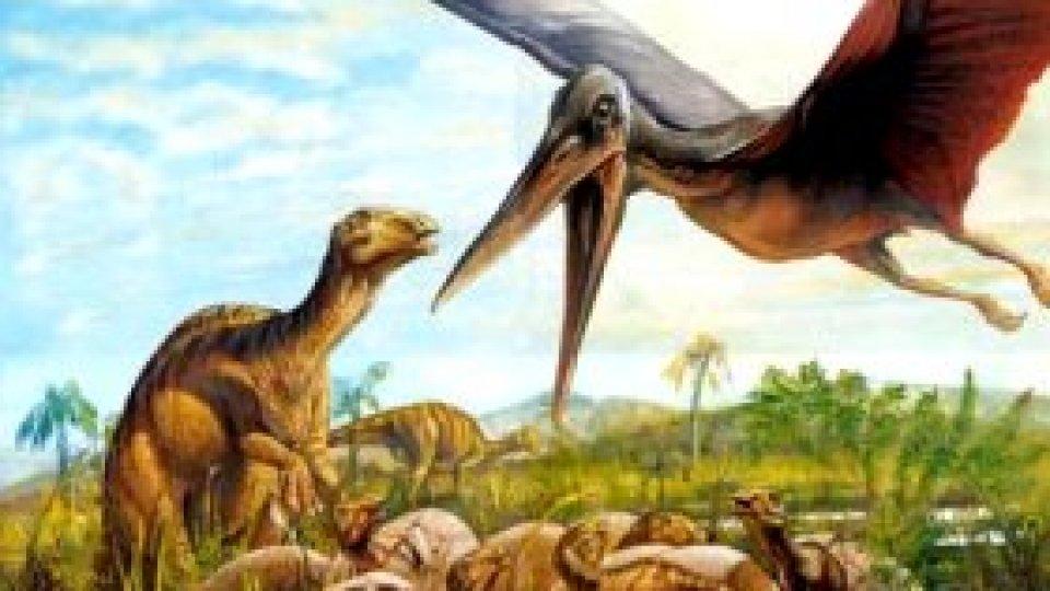 Fosile de dinozauri pitici, descoperite în Sălaj