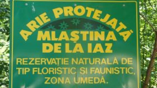 Descoperire uimitoare în ţara noastră