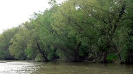 Dunărea te învaţă alfabetul naturii