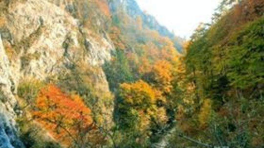 Cheile Râşnoavei Adventure