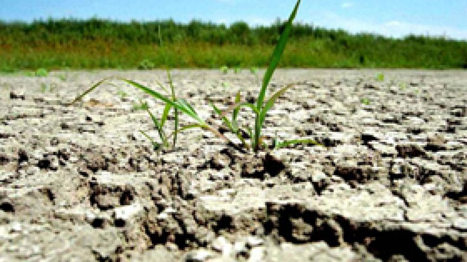 "Cea mai fierbinte lună iulie" din istoria meteo a SUA